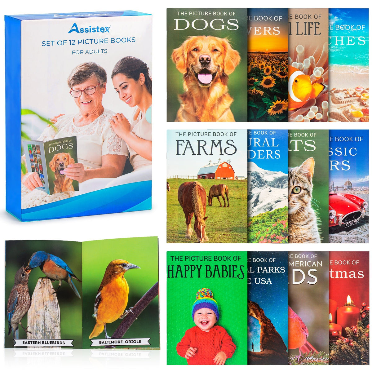 Picture Book Set for Seniors with Dementia - Alzheimer's Activity for Adults - for Patients in Nursing Home - Gifts for Elderly - Memory Care Games - Stroke Rehab - Brain Exercise - Parkinson Product - Silverts 1