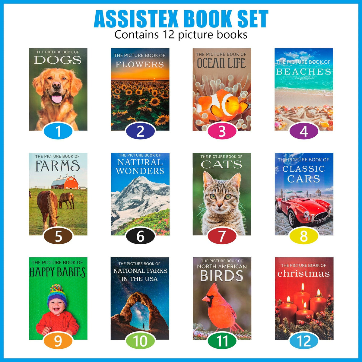 Picture Book Set for Seniors with Dementia - Alzheimer's Activity for Adults - for Patients in Nursing Home - Gifts for Elderly - Memory Care Games - Stroke Rehab - Brain Exercise - Parkinson Product - Silverts 3